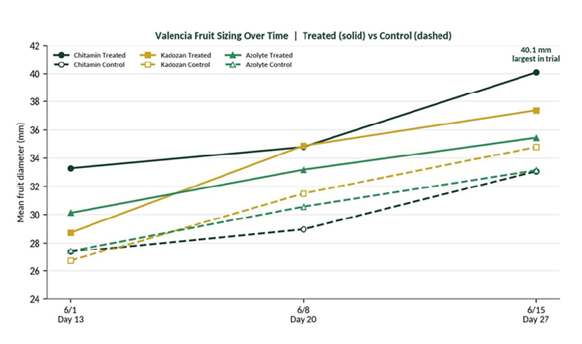LytoFresh field trial showing Valencia citrus fruit sizing over time